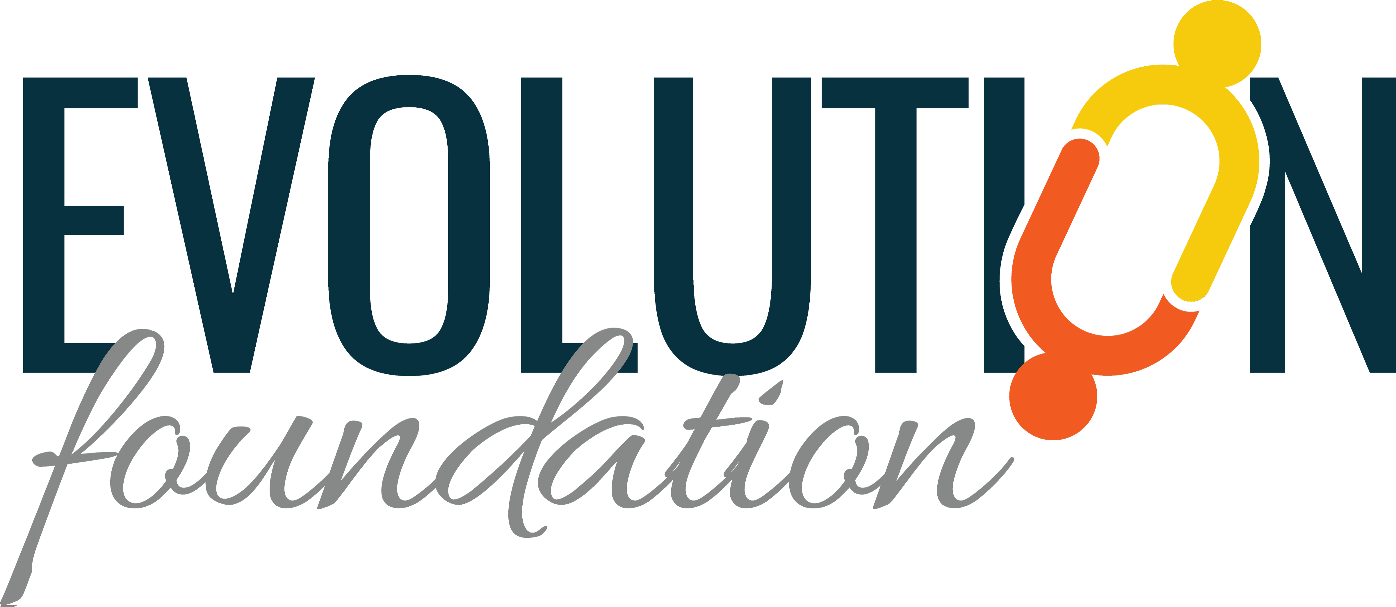 Evolution Foundation